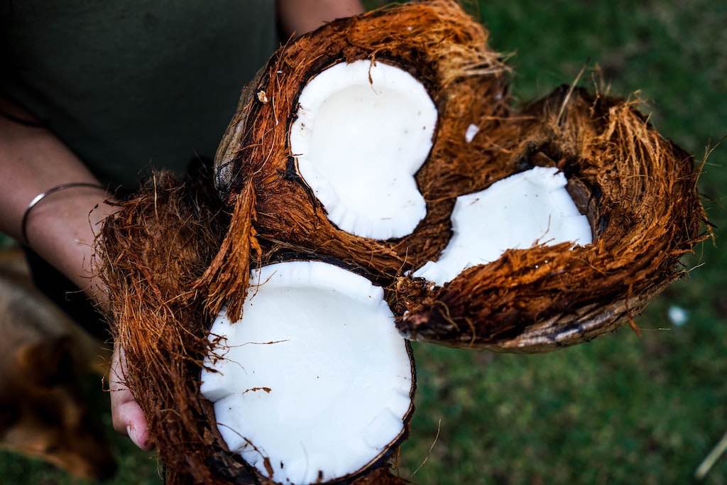 Nachhaltiges Kokosöl - Auf was sollte ich achten?
