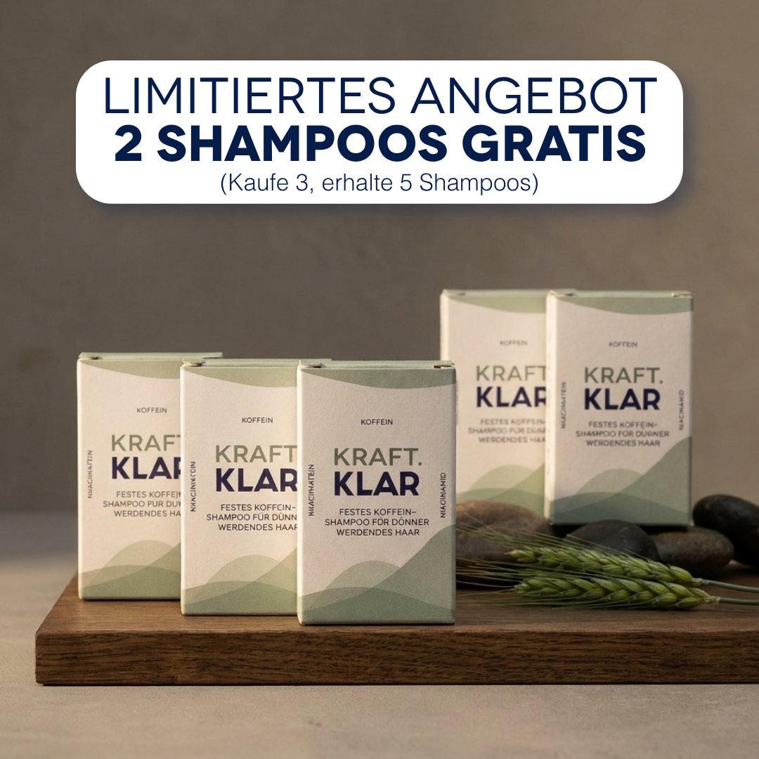 Kraft.KLAR Angebot