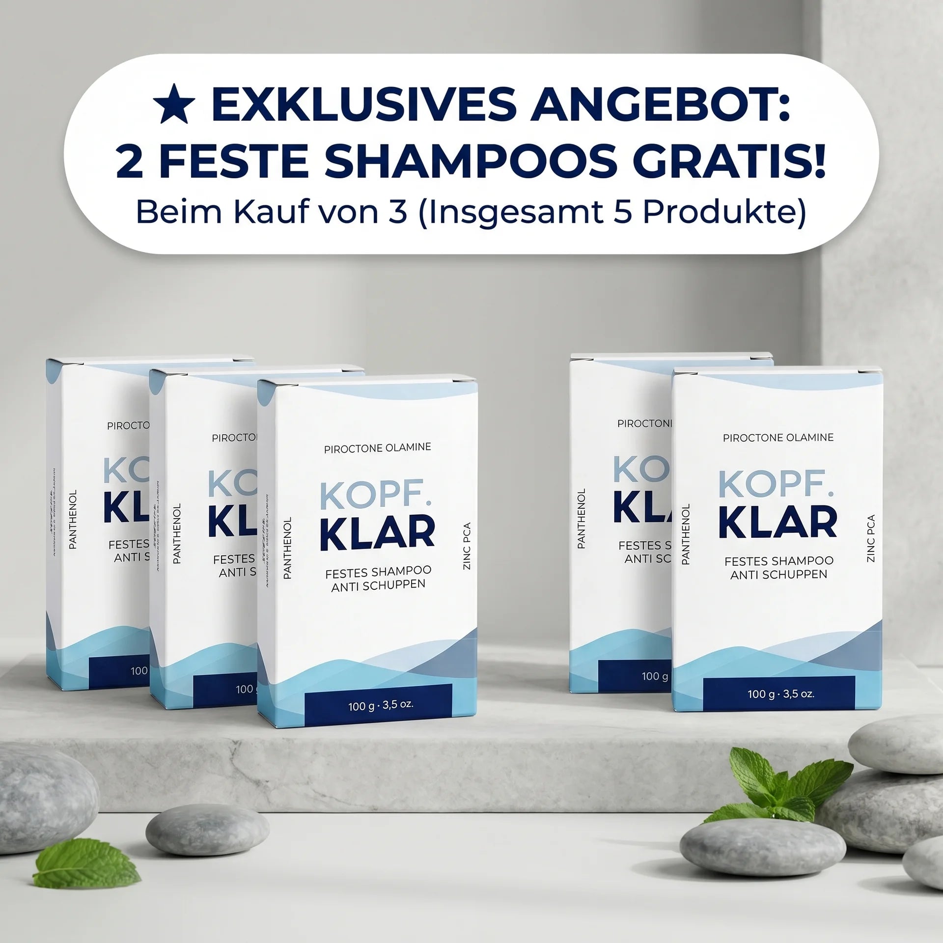Anti Schuppen Angebot